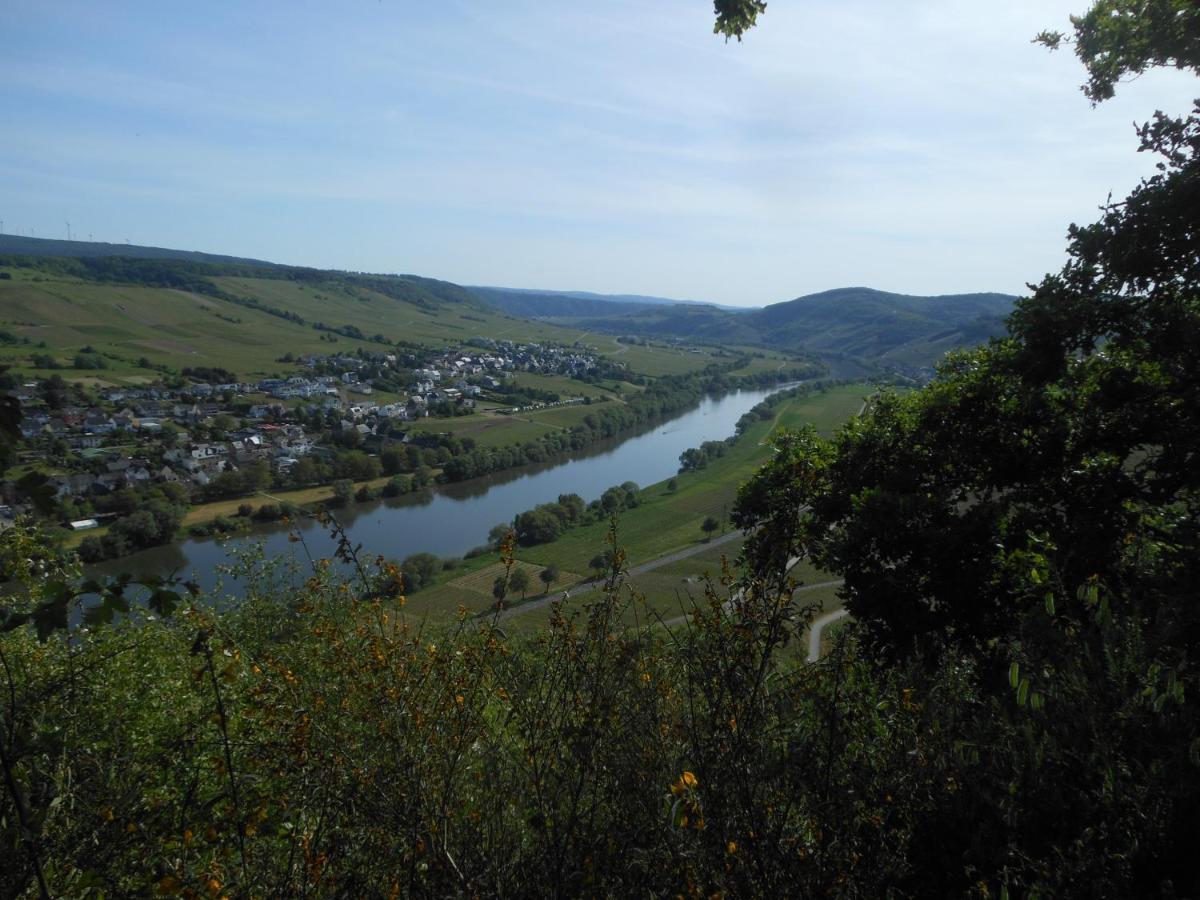 Ferienhaus Mosel Brauneberg Exterior photo