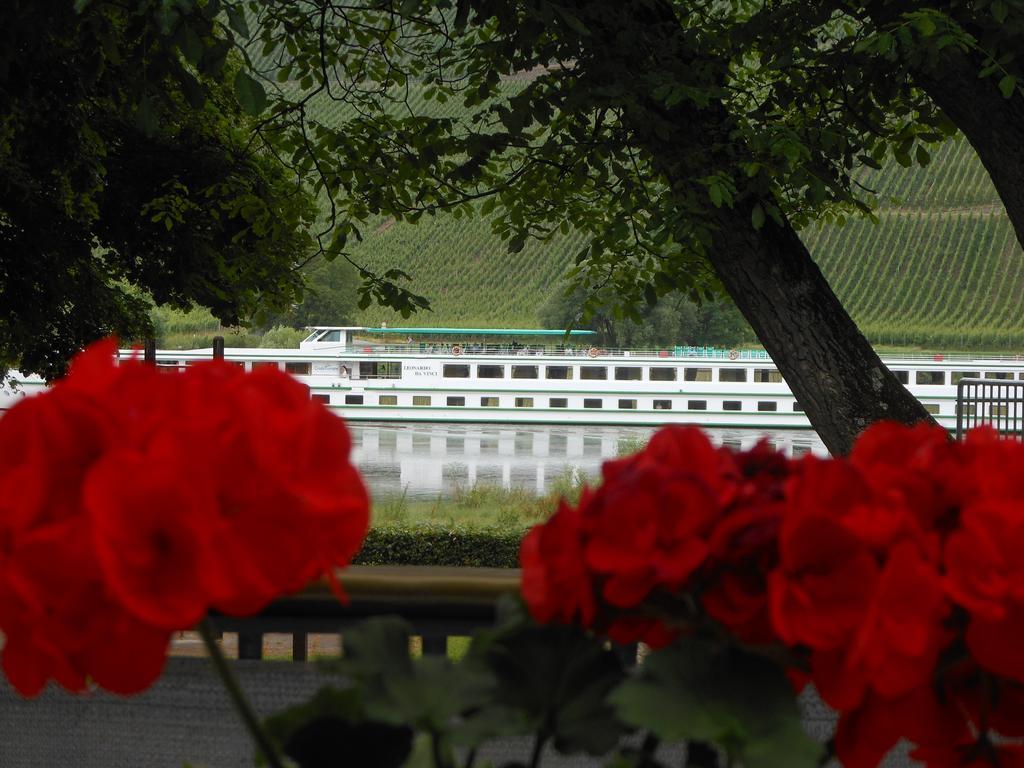 Ferienhaus Mosel Brauneberg Exterior photo